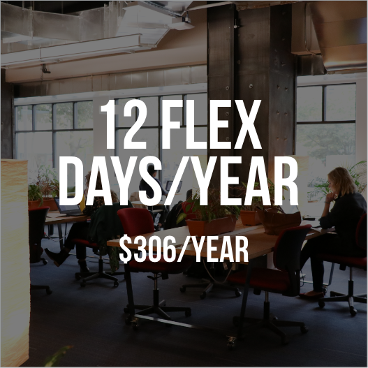 12-flex-days